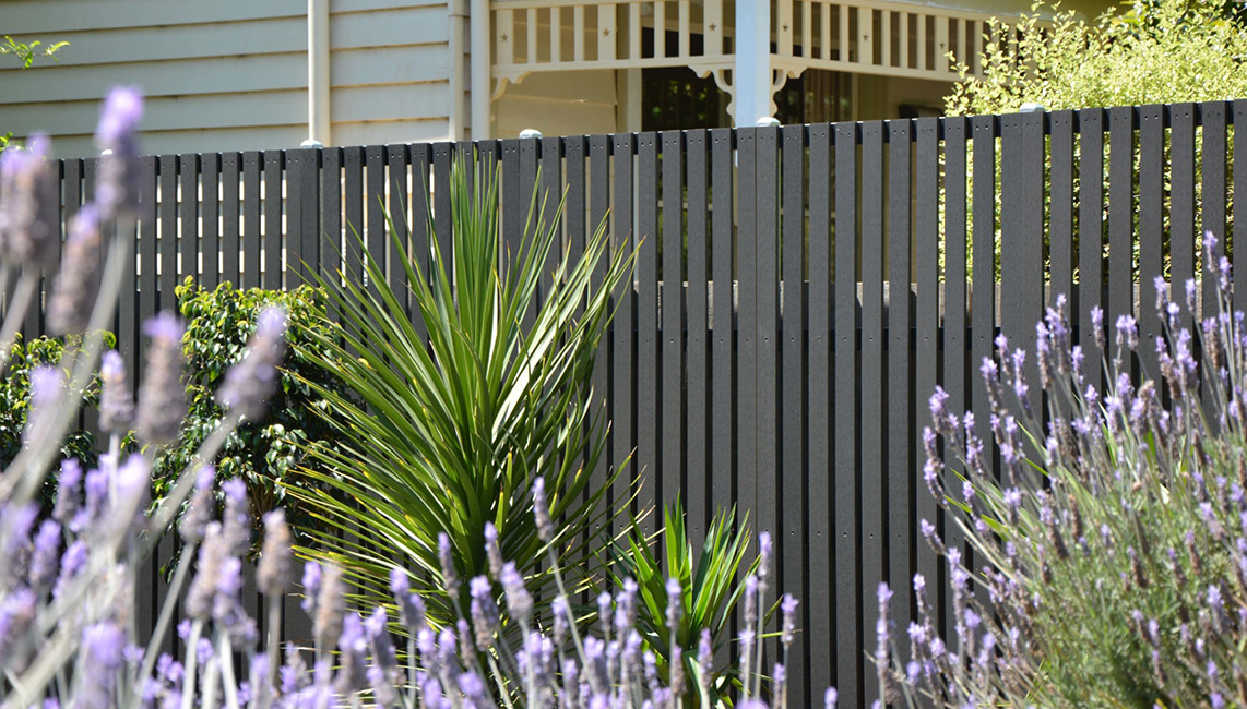 A black fence with lavender plants in front of it.
